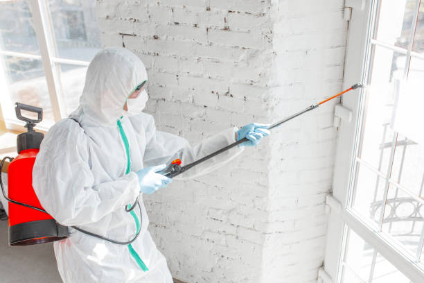 Best Mold Remediation for Vacation Homes  in Whitemarsh Island, GA